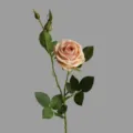 Artificial rose flower 2 heads single stem faux plant for home decor living room table - Champagne