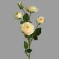 Artificial 5-head rose peony flower branch for home decor and hotel interior styling. - Pink