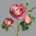 Artificial 4-head pink ranunculus flower variant for home decor and interior soft furnishing. - Purple
