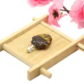 Natural semi-precious stone shell pendant DIY jewelry accessory charm for necklace making - 22mm Shell Pendant / Tiger Eye (1 Piece)