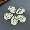 Primo piano di ciondoli in pietra di diaspro dalmata lucido per dettagli di gioielli. - Diaspro Dalmata (1 Pezzo)
