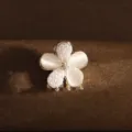 Petite pince a cheveux fleur avec pierre oeil de chat blanche et details de perles pour femmes. - APF75-6 Perle
