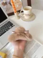 Oversized real rabbit fur hair claw plush clip elegant winter hair accessory for women. - Inner Clip 11cm / 6# Milk Coffee