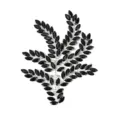 Detailed close-up view of the black rhinestone leaf applique DIY garment accessory. - Black