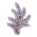 Detail van kristallen strass blad patch, sprankelende glazen boor applicatie voor DIY handwerk. - Koraal-3