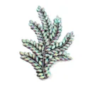 Gedetailleerde close-up van prachtige iriserende strass blad patch, schitterende AB kristallen. - Koraal-4