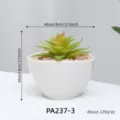 Artificial succulent ceramic potted plant for home office desktop decoration, 8cm white pot. - PA237-3