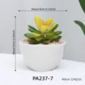 Planta suculenta artificial en maceta de ceramica blanca, decoracion de escritorio ideal. - PA237-7