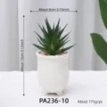 Mini artificial succulent plant potted decoration in white ceramic pot, compact and stylish. - Artificial Succulent Potted Plant Style 10 (PA236-10)