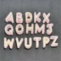 Abalorios de letras luminosas de sirena acrílica dijes sueltos para llaveros de bricolaje joyería - Aprox. 20mm/Aprox. 225 Pcs / Mezcla Aleatoria 5#
