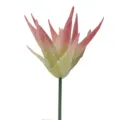 Artificial succulent plant head DIY potted plant accessory home decor green plant - Style No. 32