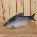 Lifelike simulated fish model decoration figurine for home indoor and restaurant display. - Simulation Fish Sixteen