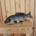 Simulation fish model aquarium decoration fake fish tank landscape toy ornament fish decor item - Grey Koi