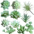 Artificial succulent plants set fake floral heads for home decor and DIY flower arrangements - TA13