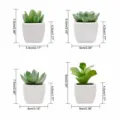 Artificial succulent potted plants with white ceramic pots, four size variants for home decor. - Four-Piece Set / PAT1