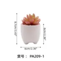 Artificial succulent potted plant in white ceramic pot, cute desktop decoration for home and office. - PA209-1