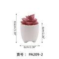 Fake succulent potted plant in white ceramic pot, mini desktop artificial floral decoration. - PA209-2