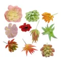 Artificial succulent plants set, fake green plants for DIY home wall decor and crafts. - TA21