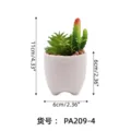 Artificial succulent potted plant in white ceramic pot, cute desktop decoration item. - PA209-4