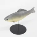 Simulation fish model PU aquarium decoration pet cat toy photography prop display stand - Gray (Y022-1)
