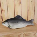 Simulation PU fish toy realistic fake fish model for photography props and aquarium decoration. - Gray