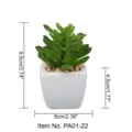 Mini artificial succulent potted plant in white ceramic pot with clear size dimensions for home decor - PA01-22 Style