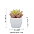 Mini artificial succulent plant in white ceramic pot with dimension labels for home decor. - PA01-23 Style