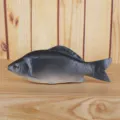 Simulation PU fish toy realistic marine animal model for aquarium decor photography props - Black Grey Gradient
