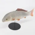 Modelo de pez artificial realista juguete de PU carpa de simulación accesorio de exhibición - Simulación Multicolor (Y007-3)