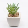 Miniature ceramic potted artificial succulent plant for interior home office desk decor. - PA02-3 Style