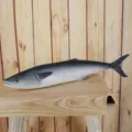 Realistic PU fish model simulation marine aquarium decoration early education photography prop - Dark Gray Silver