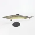 Modelo de tiburón de simulación realista figura de pez decoración de acuario de mesa - Modelo de Tiburón (Y008)