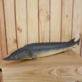 Simulation sturgeon fish model PU toy aquarium decorations photography props - Sturgeon Model