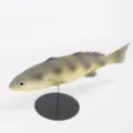 Modelo de pez de simulación adorno decorativo acuario pecera accesorios juguete de gato - Franja Amarillo Gris (Y001)