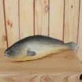 Simulation PU Fish Model Lifelike Fake Fish Aquarium Decoration Photography Prop Toy - Simulation Fish Six