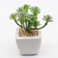 Mini artificial succulent potted plant in white ceramic pot, green variant desktop decor. - PA02-6 Style