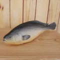 Realistic PU fish model toy, high simulation artificial fish for aquarium and photography props. - Simulation Fish Nine