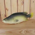High simulation PU fish model toy, realistic green and yellow design, ideal aquarium decor. - Dark Green Yellow