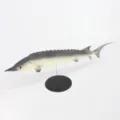 Modelo de pez esturión de simulación SKU, decoración de acuario PU gris y blanco. - Esturión Blanco Roto (Y004)