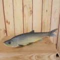 Simulation PU fish toy realistic marine animal model photography prop aquarium decoration item - Grey Black
