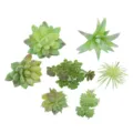 Set de plantas suculentas artificiales plantas verdes falsas para decoracion de pared - TA15