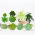 Conjunto de plantas suculentas artificiales para decoración de pared verde, plantas falsas. - TA02