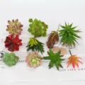 Conjunto de plantas suculentas artificiales para decoración de pared del hogar DIY - TA03