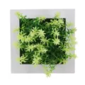 Pianta artificiale parete cornice foto succulenta appendiabiti decoro casa legno bianco - Modello 19A