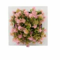 Cornice da parete con fiori di piante succulente artificiali decorazione per la casa calda. - Cornice Portafoto Sospesa a Parete Succulenta Artificiale (53A)
