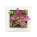Pianta Succulenta Artificiale Cornice Murale Decorazione Parete Finto Fiore Casa Verde - Modello 23A