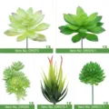 Plantas suculentas artificiales plantas verdes falsas decoración del hogar set variado - TA17