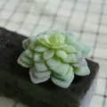 Artificial succulent plant flocked single piece DIY plant wall accessory home decor - DR061