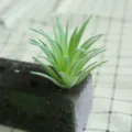 Artificial Flocked Succulent Plant DIY Greenery Wall Miniature Accessory Variant - DR058