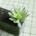 Artificial flocked succulent plant single piece green DIY wall decor floral accessory SKU. - DR056